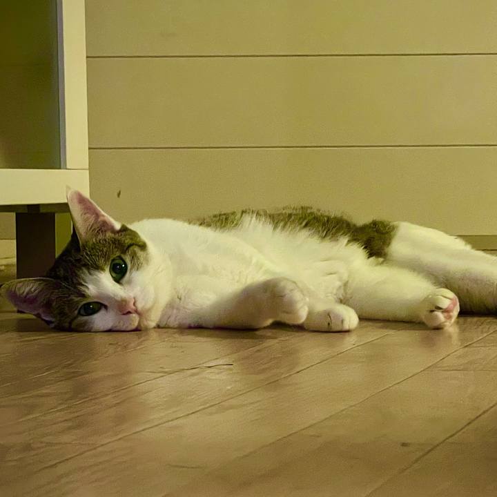 3e55cb1b 719d 4fdd 87ba c39f39d34096 1627563846557