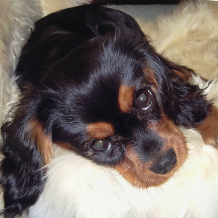 3e5649fa 421b 4af8 a080 0f1863bcc6f2 1550586617407