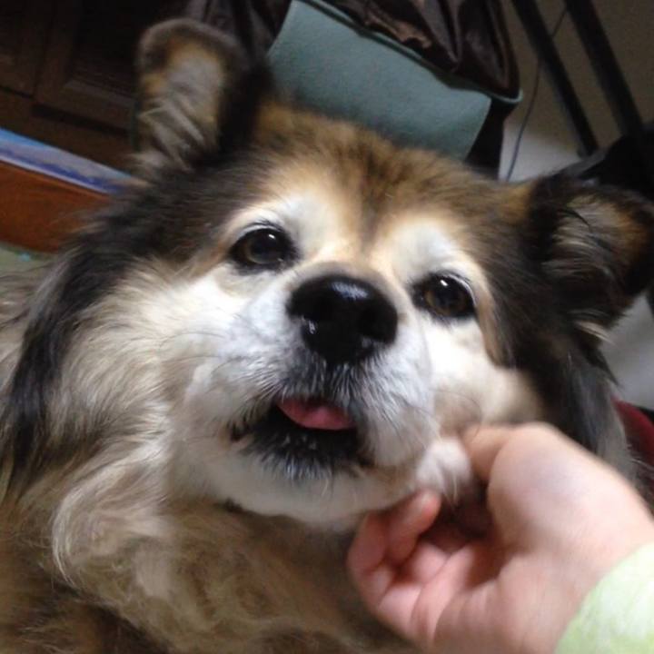 3e564ec9 5537 47f2 b4de 3211cc3c63cd 1650727438815