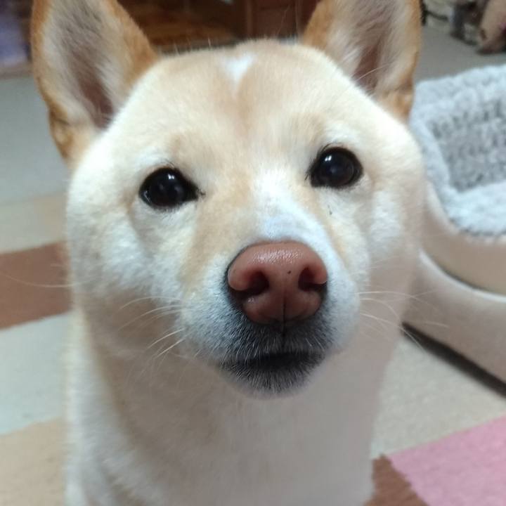 3e565d88 c0d8 4656 b3ec 60e69bcafc8e 1587590170738