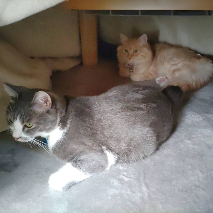 3e567ef2 c806 4683 ada3 7f96a761f607 1667099531120