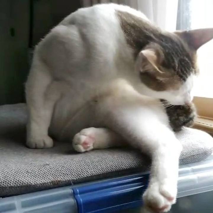 3e56938b 6547 4f8d aad8 10ed8e23fb0d 1653823440232