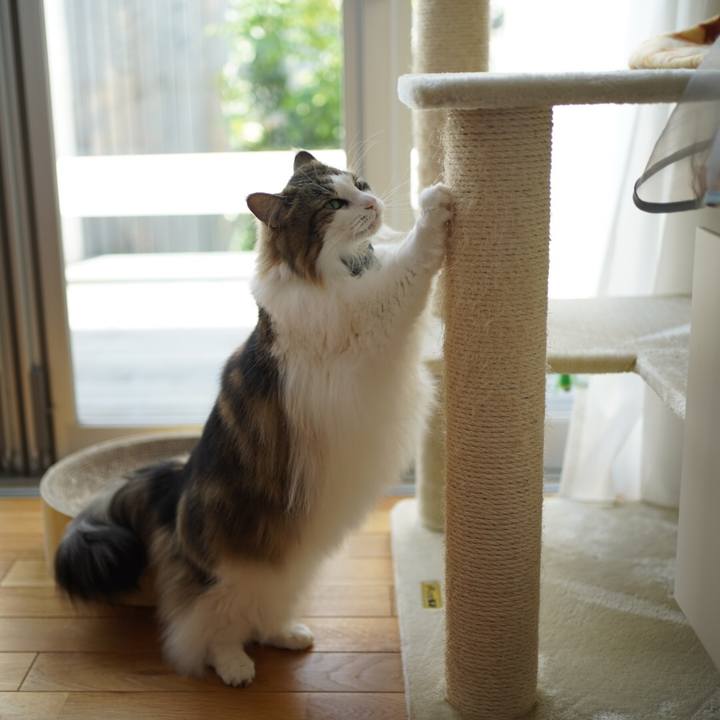 3e569e28 1da4 43b6 b86b 961cbf9c2a6b 1620524233320