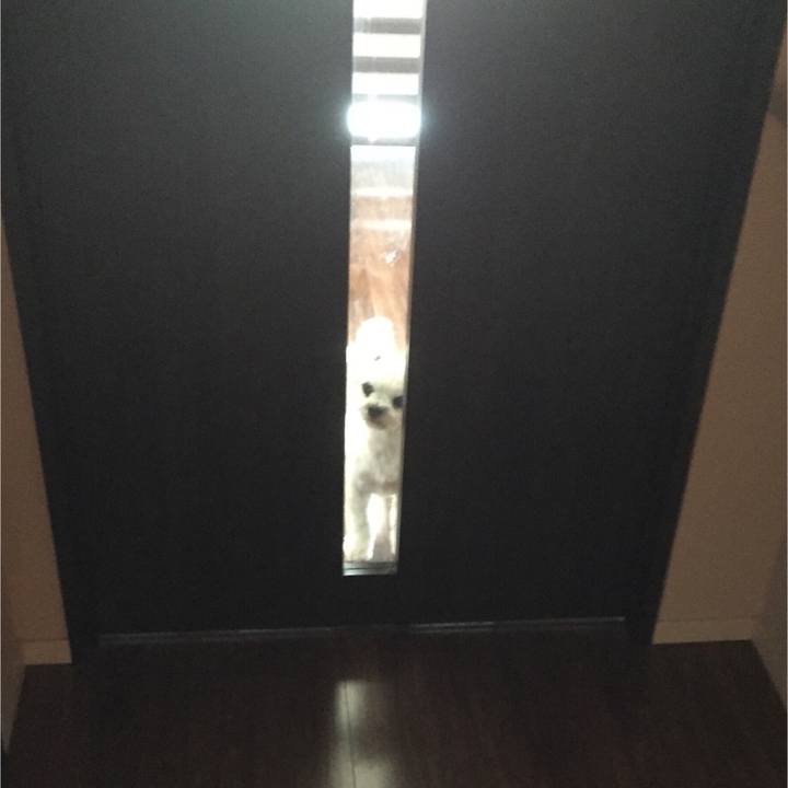 3e56a4eb 651e 4b3f be56 d55fa62f19c3 1515238902582