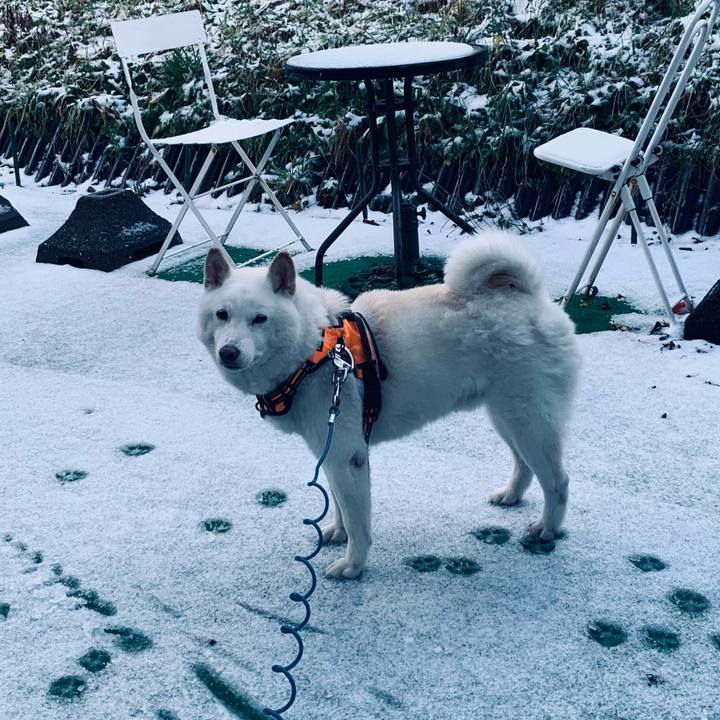 3e56f8d5 faa2 448f ad15 e49f8f61dc02 1668572383254