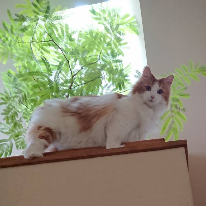 3e56f914 98ec 4d63 9614 1c50ff10c779 1527643074732