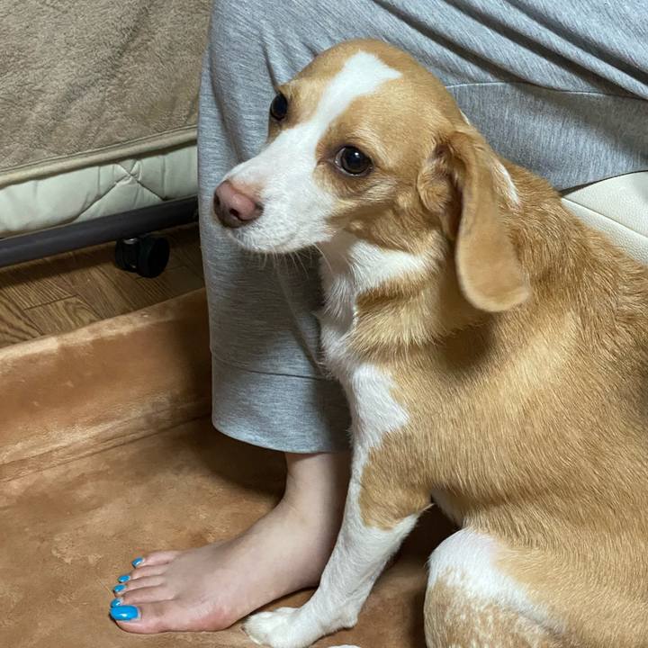 3e570066 efa4 4211 abbf d19c6fa666fa 1628155343510