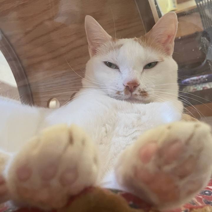 3e5709d9 5973 42b9 816b b1952dd4faf6 1669646703333