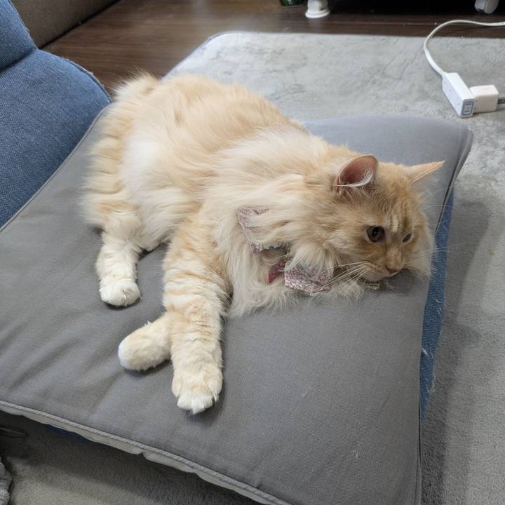 3e571cb9 66d0 4a12 bc15 5955777e272d 1751166504016