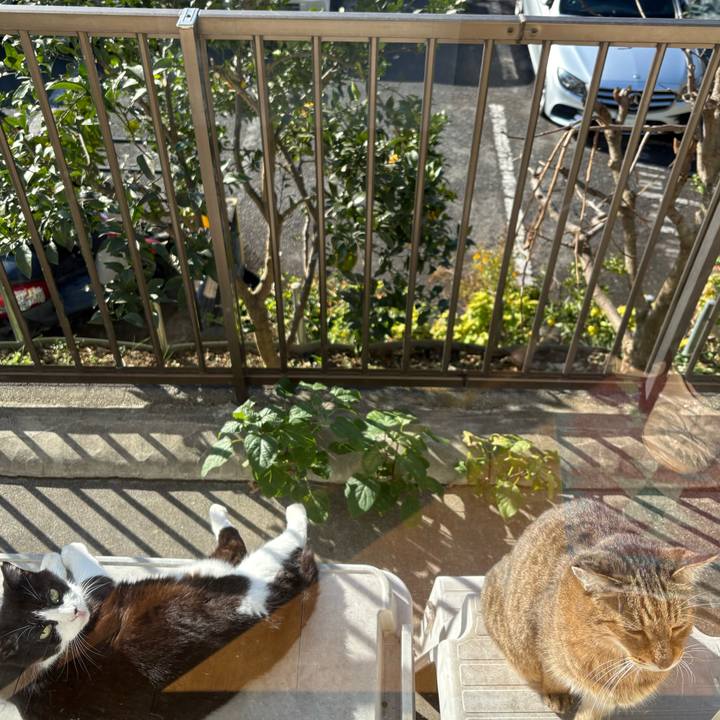 3e577d67 13cb 423d a9f5 d6a4c4ab60bb 1764124367409