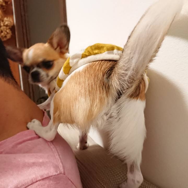 3e5784e9 7030 49cf a6dd dceb82b5de08 1571742196302