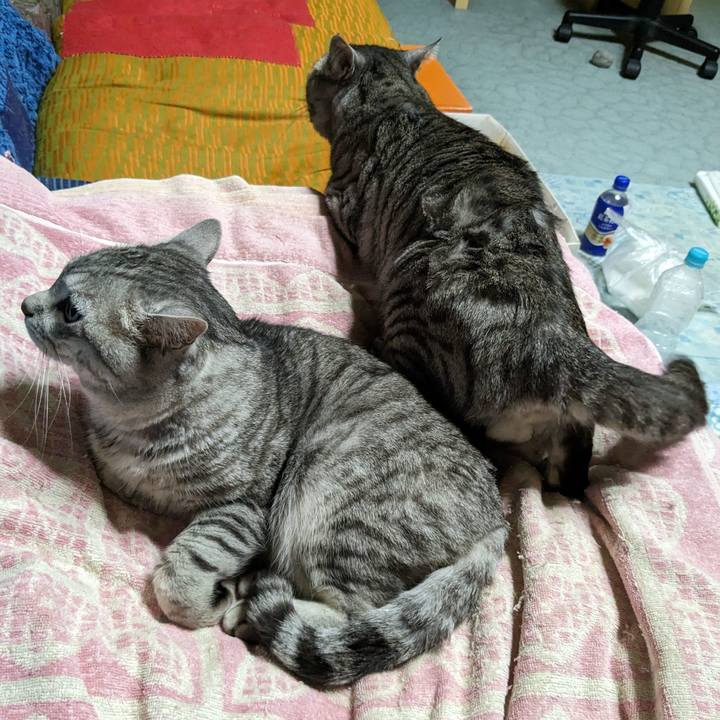 3e5787aa 071a 4c0b 9327 56aa6425adcf 1707143021276