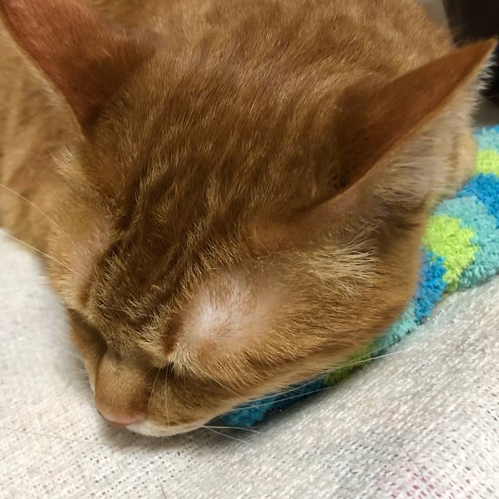 3e57b3fe d5b0 4a35 b7d2 54686b10afad 1608993410706