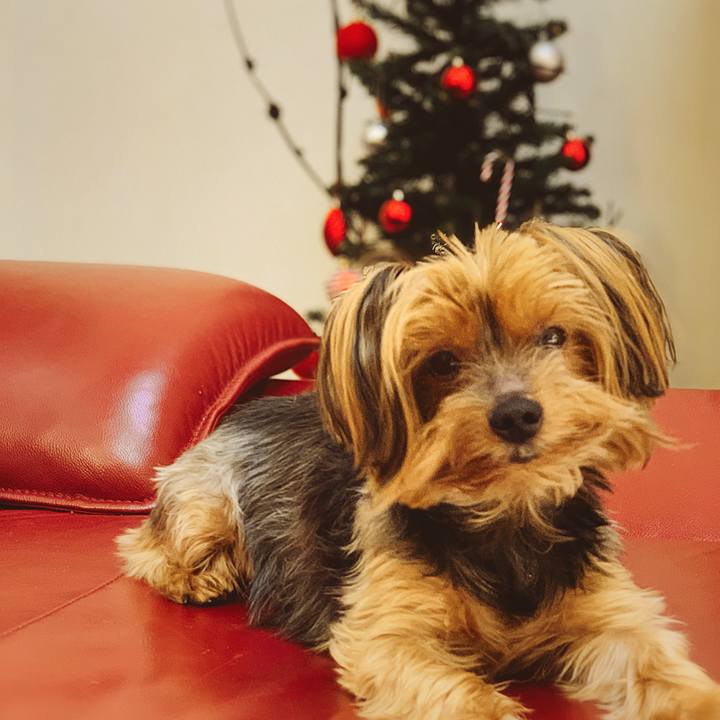 3e57bb36 c179 4ef4 b3d5 48fe4901c574 1576284772975