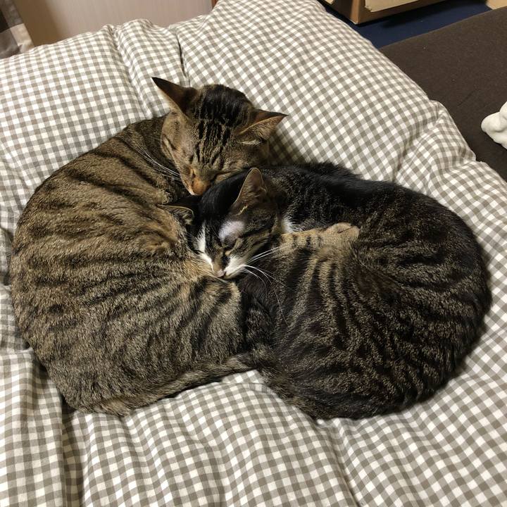 3e57f10a 9fa1 47b0 a1f1 34000bfa6494 1514922135357