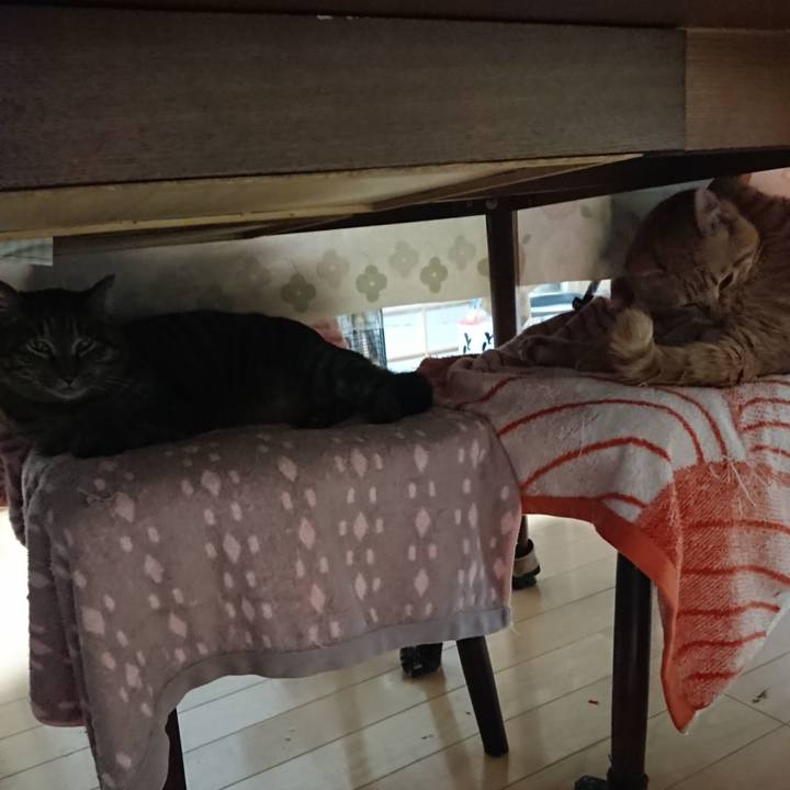 3e57fab2 f8eb 421e bb0b 725aa768ec3e 1643233380643