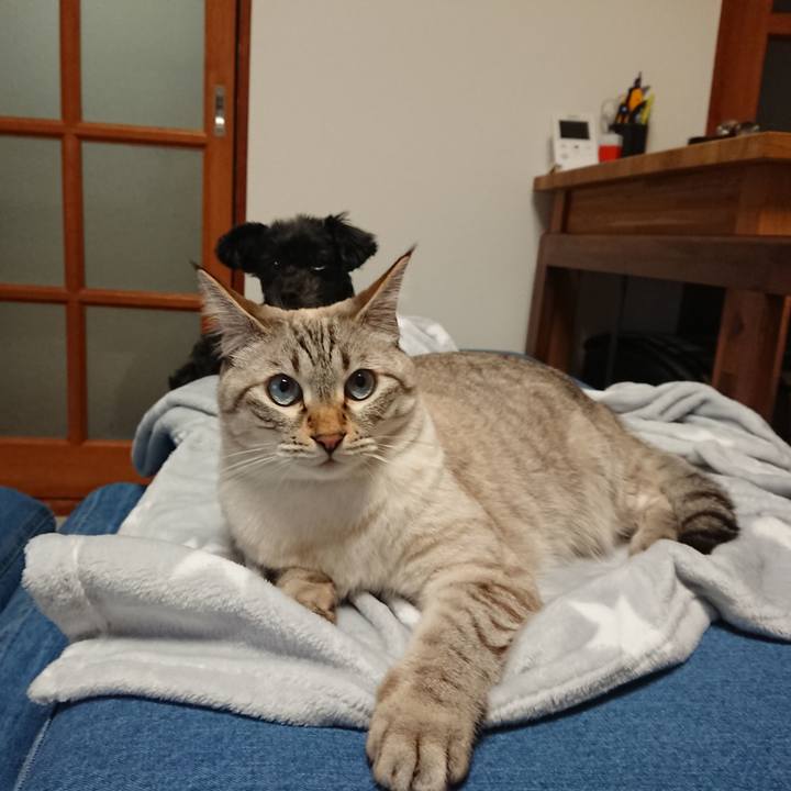 3e57fee3 ae05 4b83 9ea2 937da88eea39 1538576403981