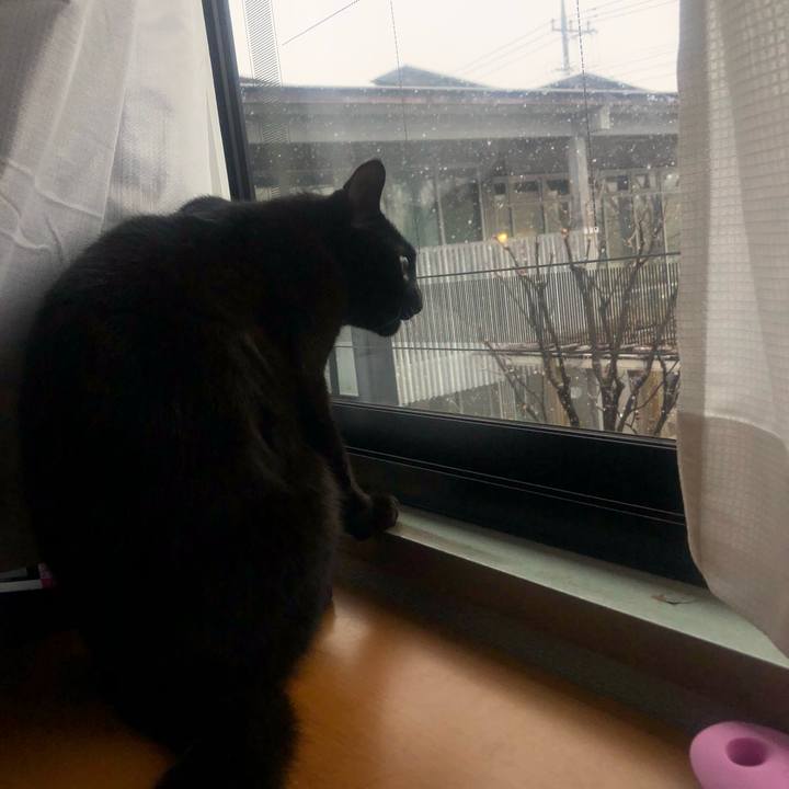 3e586e01 06ed 4e74 bae0 3d8a207a37ad 1644500117566