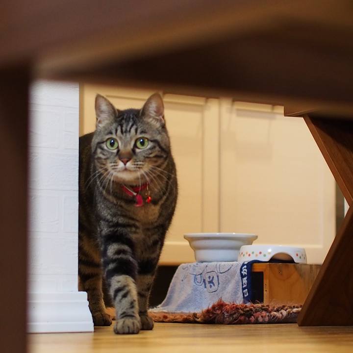 3e58a00b ffa6 4309 af27 35573e5fc695 1590057604400