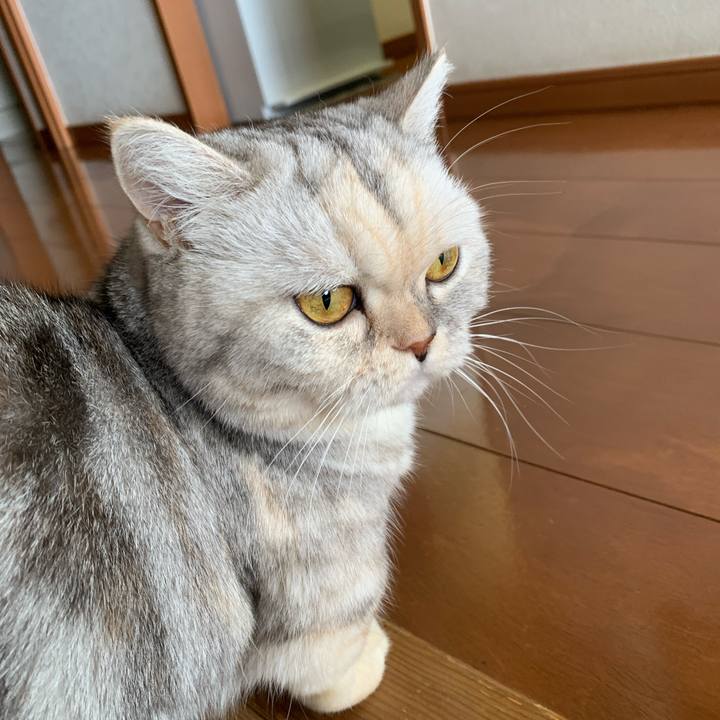 3e58c2b9 8f26 4f33 b915 7fa050f00e1c 1727150781662