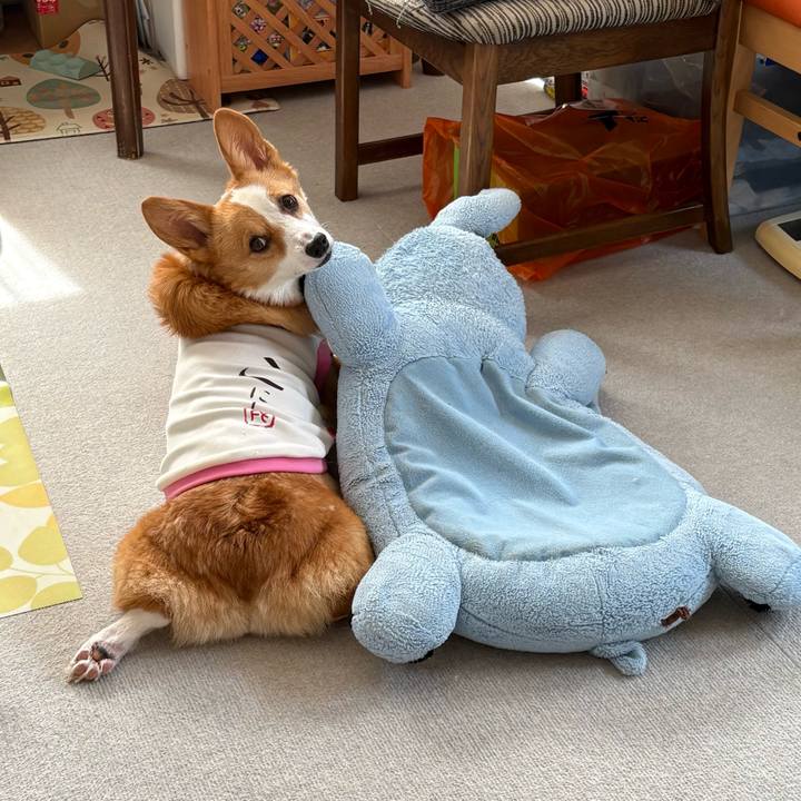 3e58d815 c12b 480a ab0f 49b54148854c 1772250879528