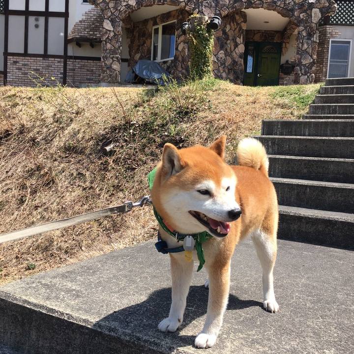 3e58e1c2 0432 4028 aab9 321ab9782341 1557551691847