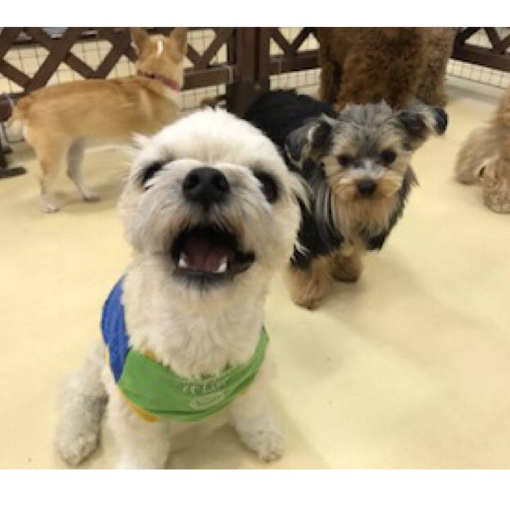 3e591314 50a2 43a0 ba28 fbf68f49c68a 1521808136582