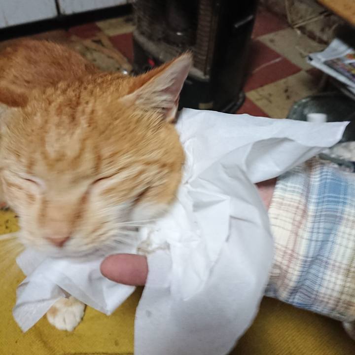 3e591d39 53ab 4523 adbc 26b6681295b7 1570739619432