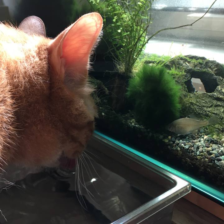 3e593f64 55be 4a01 ad4c d0fff85a8093 1536793427690