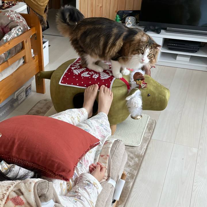 3e5987db c318 48c5 a454 7d96d37e75cf 1670043142204