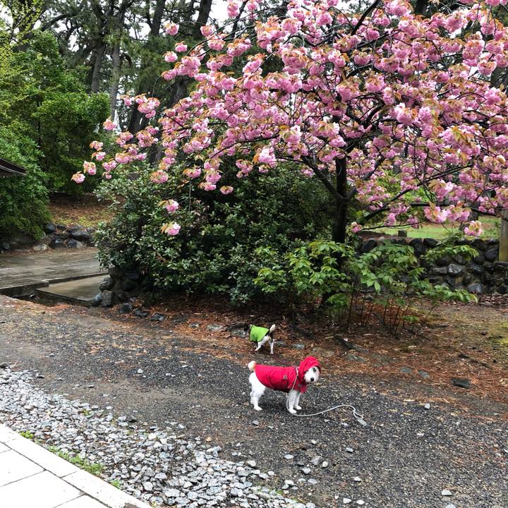 3e598a17 9558 463c ab70 8d3835755300 1556583707304