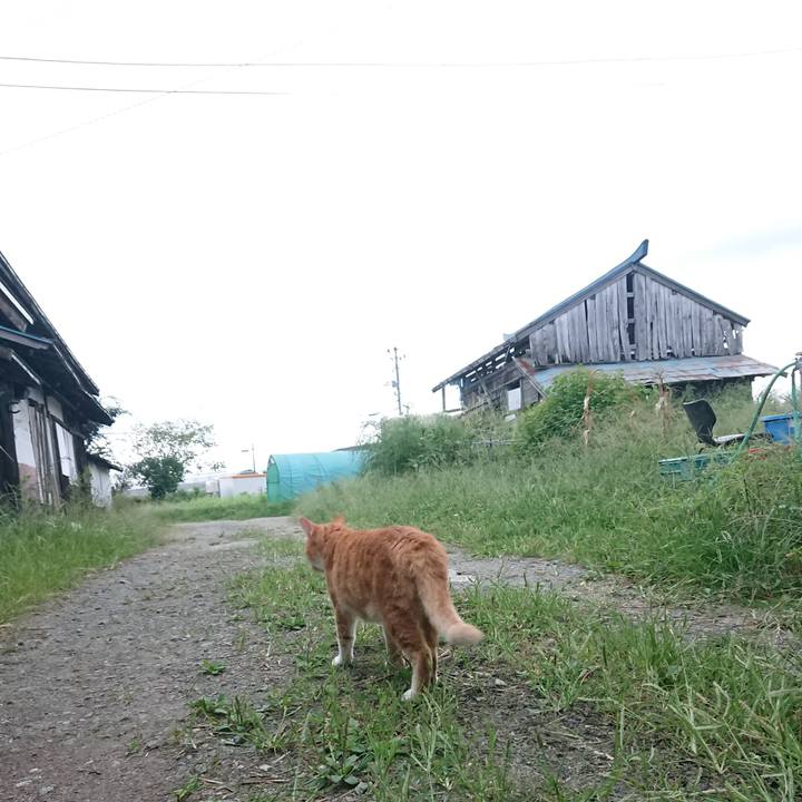 3e59cf46 bba5 4cd1 8d28 91f25aa3a41b 1600462701673