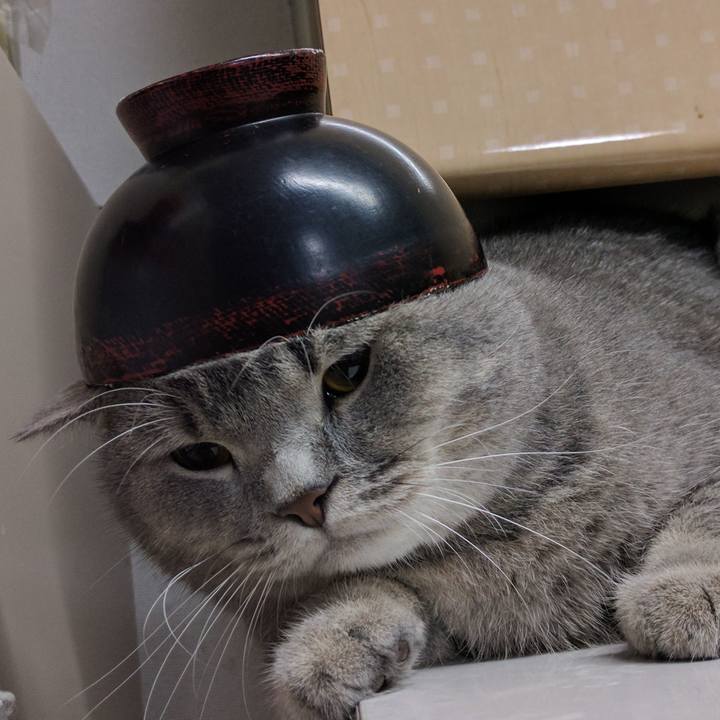 3e59d206 dfc0 4c4c 84f4 931219200431 1507899090223