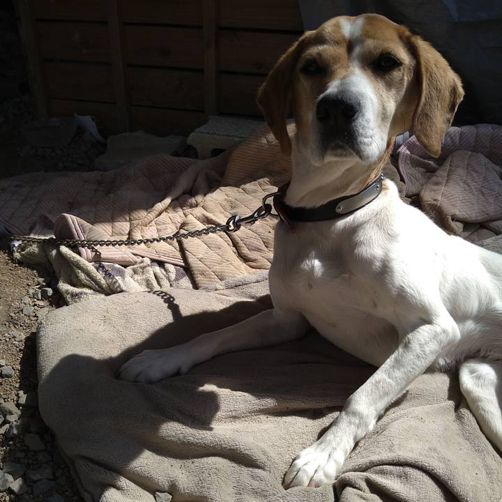 3e59da8a 9238 4f8a 93fd bd5da838c116 1648556159516