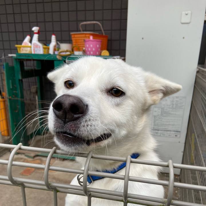 3e5a02e0 e28e 4078 ab31 ecd8c34873fd 1639617347078