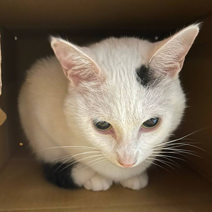 3e5a3191 2d98 4426 bb3f 8d4ff91af94d 1765926196548