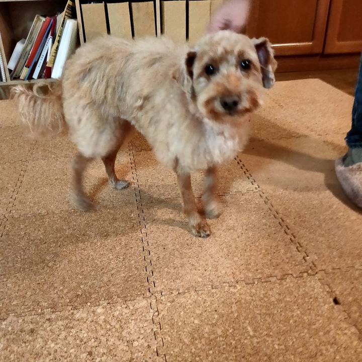 3e5a3e7e b7d6 4d2a 9e30 a9b28d207b94 1611995783543