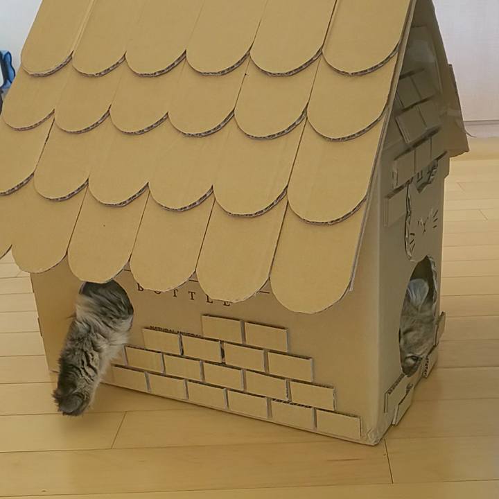 3e5a7dd9 f632 46b1 8fe1 9a06112cb98d 1572575226505