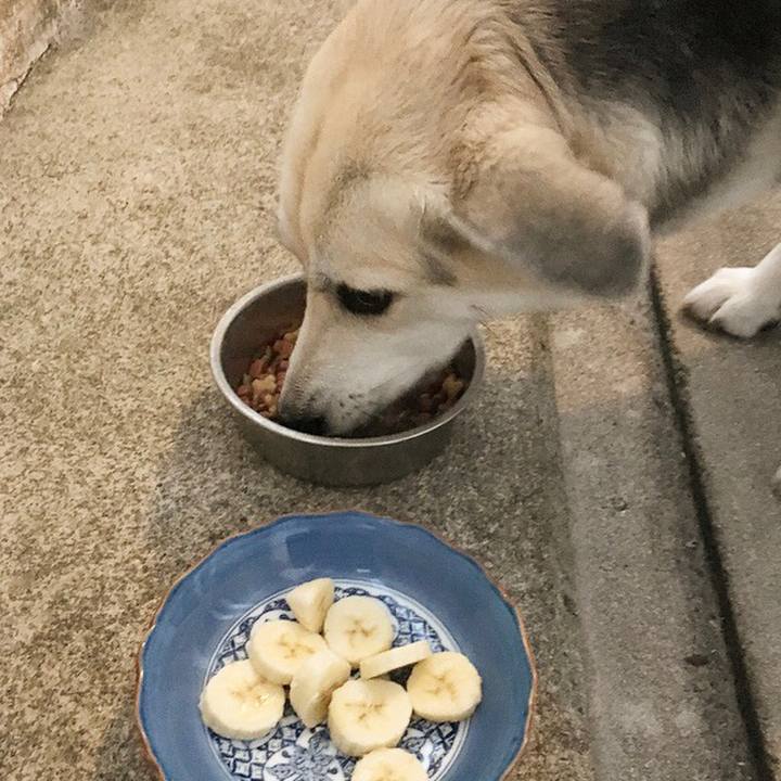 3e5a7f8a 86d9 435d 87ec 46dbadf08abd 1515668670462