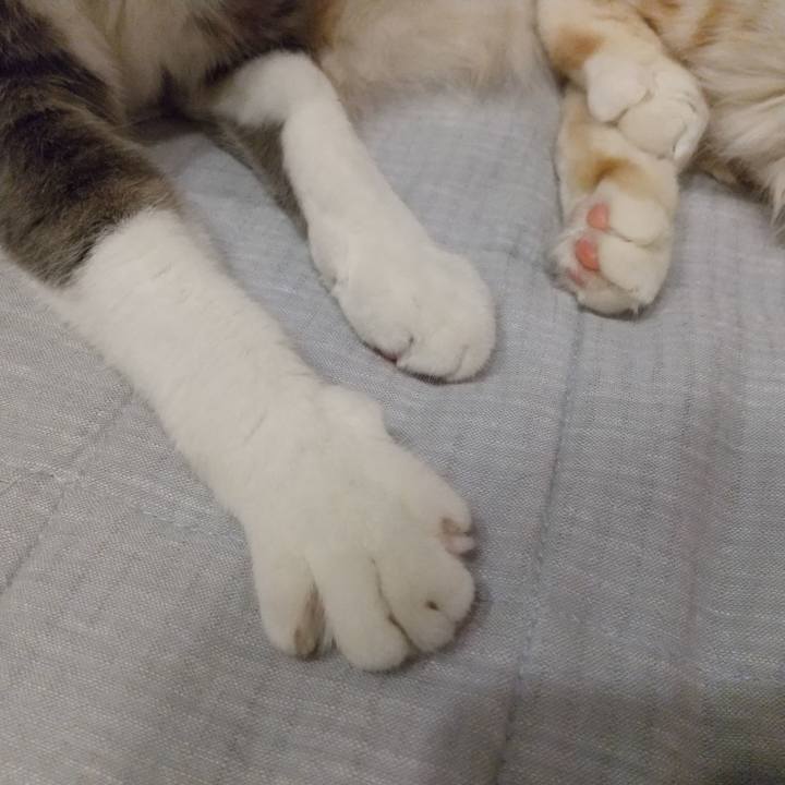 3e5a9375 0ad2 4300 9e71 2250a2f7cb0f 1617312437628