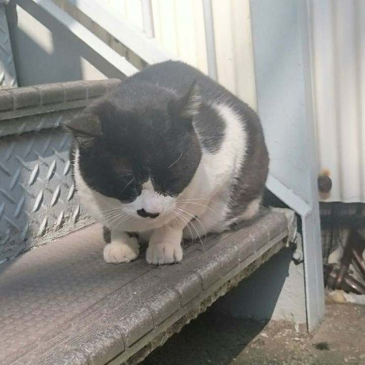 3e5ab5d1 99f8 44f6 81cd 6d026cb99cfc 1517716364460