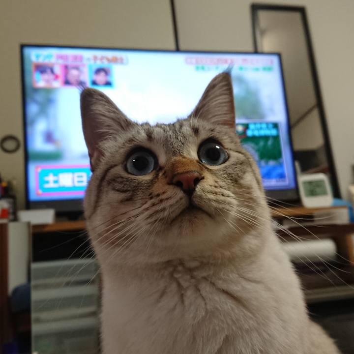 3e5b04b8 6dd9 4fc3 b513 76059798732c 1578136227575