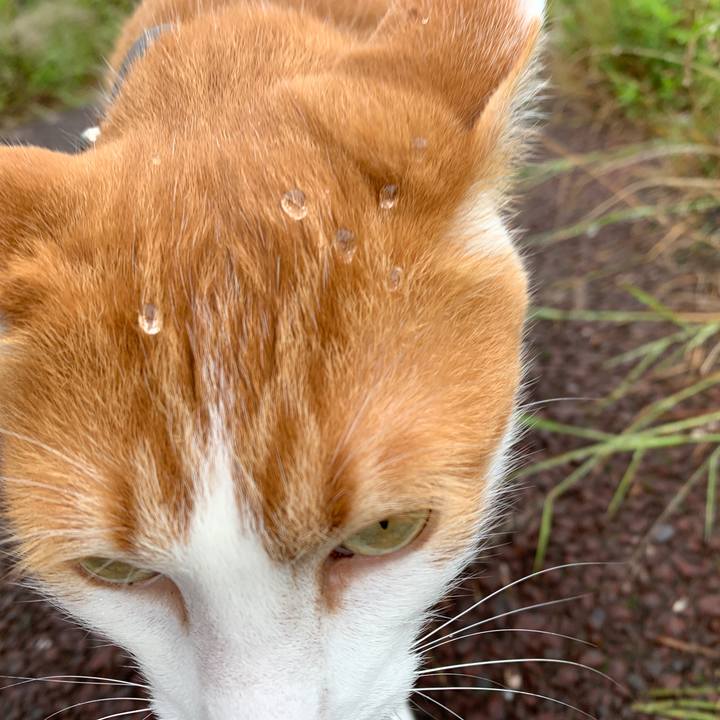 3e5b0679 4adc 4a53 9ea0 1f161b9d3e26 1593826562876