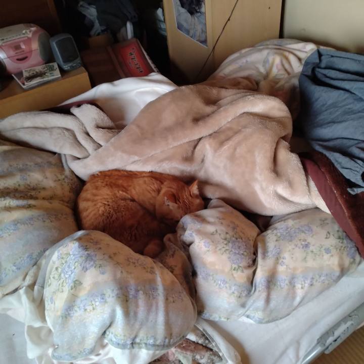 3e5b1556 fc8f 4e2e b749 5b4cf68554bb 1712441390734