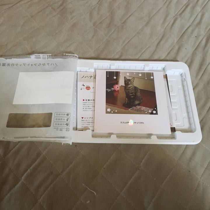 3e5b189b 6a74 4c81 af7e 6613825b14dc 1542679244490