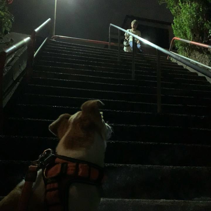 3e5b423f 14eb 4ec6 a80d ab0c622d9e60 1632920245886