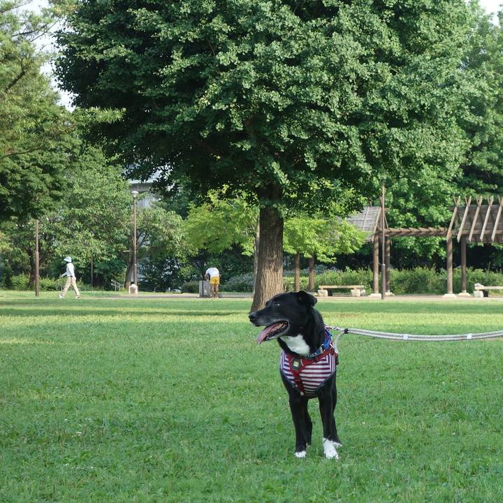 3e5b4bfc 6de1 461f 9483 edabd1305442 1687134530230