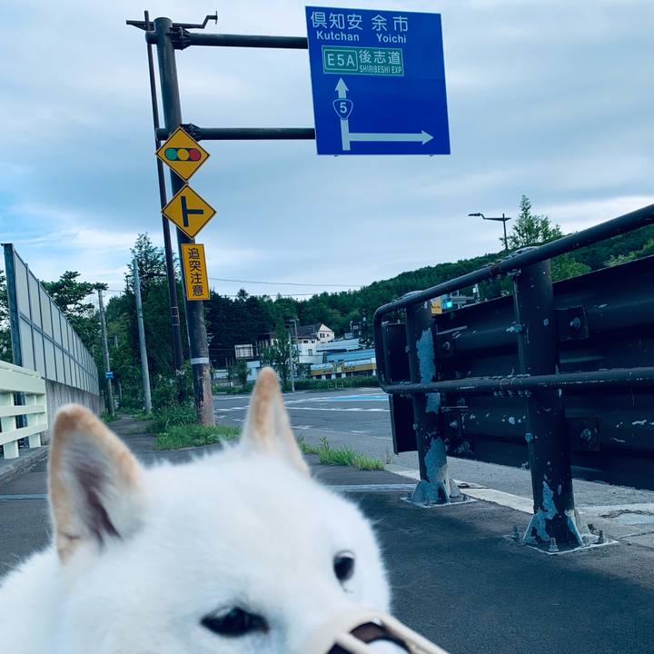 3e5c08b7 8529 4048 87e6 6518a9df3450 1623016279495