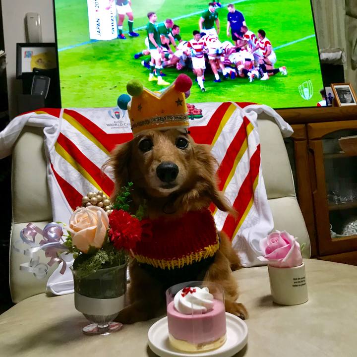 3e5c0b2c 0edd 4a51 a541 6d9b14c22ec2 1569674806601