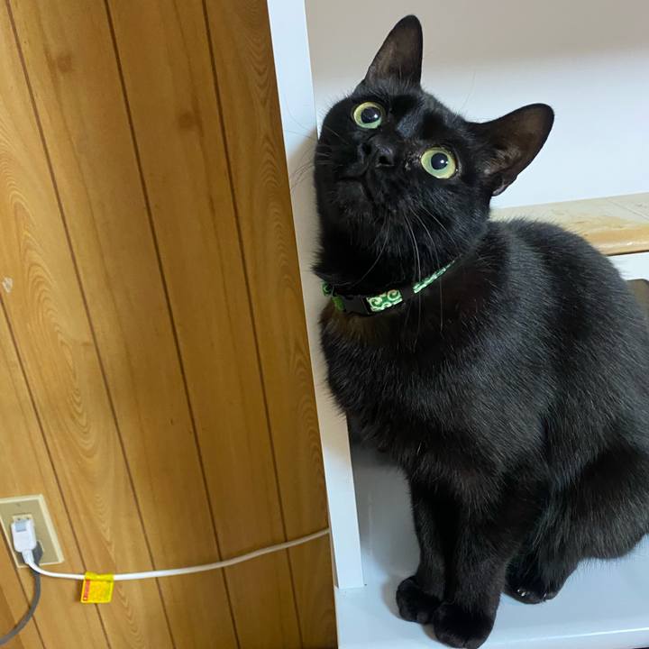 3e5c4b6c 8c8f 4616 9186 bb5096a3d732 1650024592438